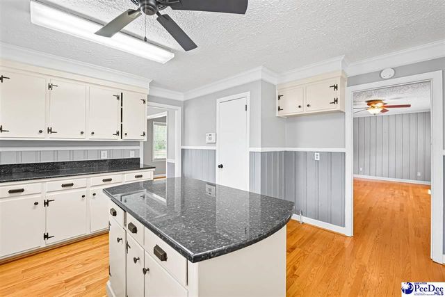 111 Brittain Rd, Darlington, SC 29532