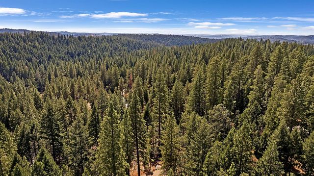 6295 Dolly Varden Ln, Pollock Pines, CA 95726