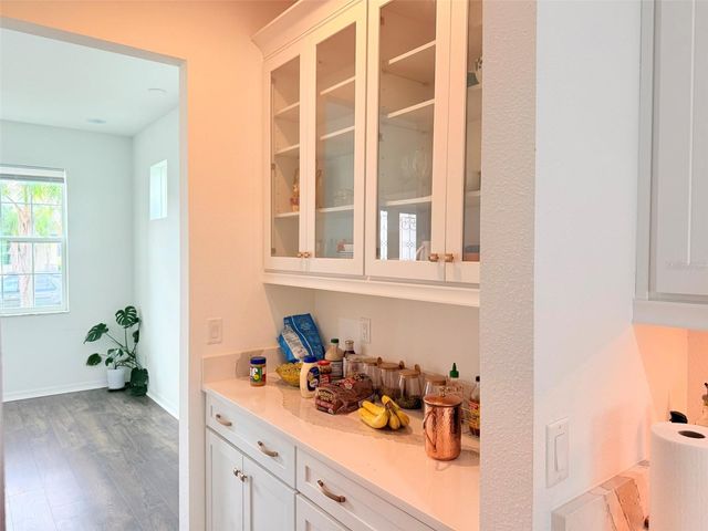11131 SUNDRIFT DRIVE, Tampa, FL 33647