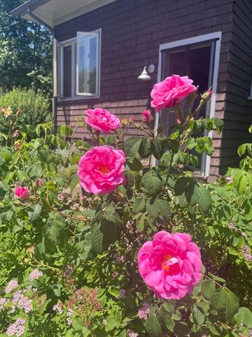 175 Central St, Concord, MA 01742