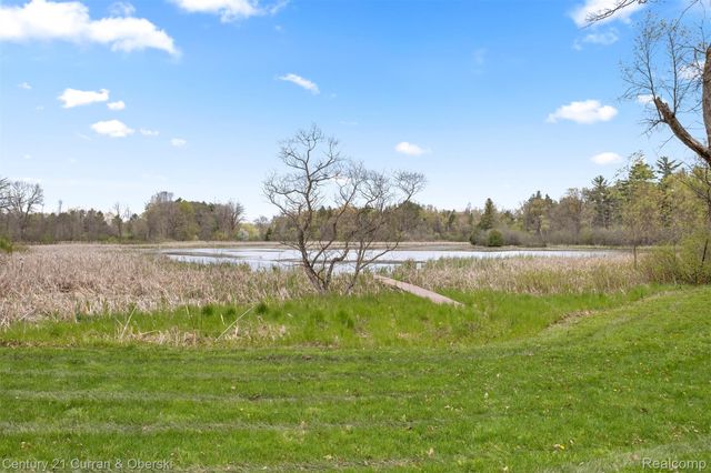 10459 Hyne Road, Brighton Township, MI 48114