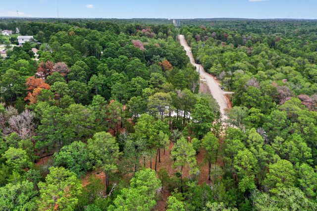 190 Molokini DR, Bastrop, TX 78602