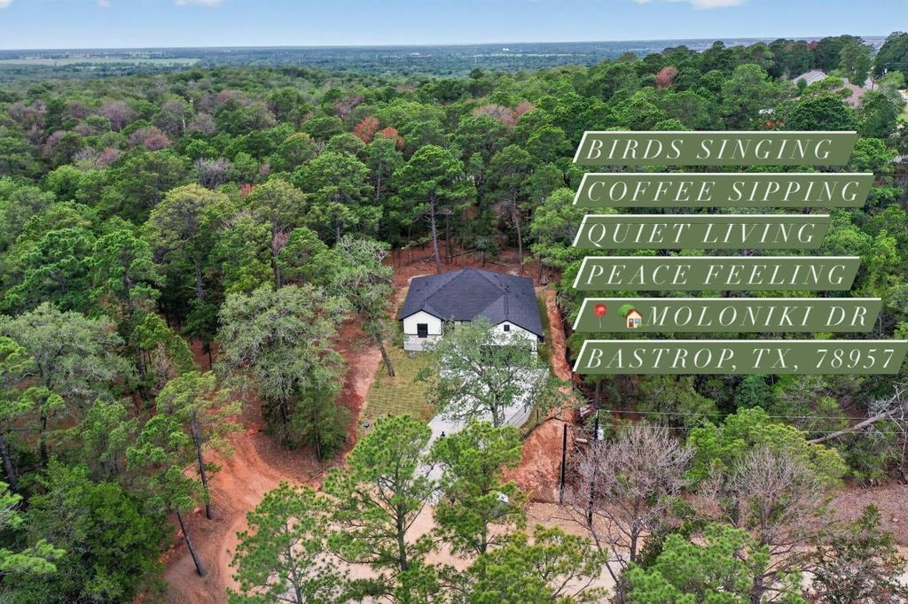 190 Molokini DR, Bastrop, TX 78602
