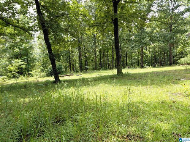 141 PROSPERITY LANE, Warrior, AL 35180