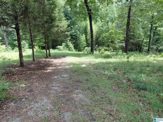 141 PROSPERITY LANE, Warrior, AL 35180