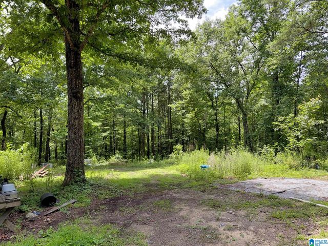 141 PROSPERITY LANE, Warrior, AL 35180