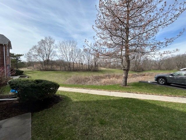1345 Cunat Court 1B, Lake In The Hills, IL 60156