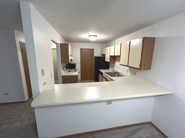 1345 Cunat Court 1B, Lake In The Hills, IL 60156