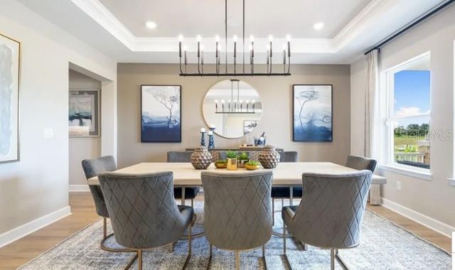 11270 KINGLY LANE, Odessa, FL 33556