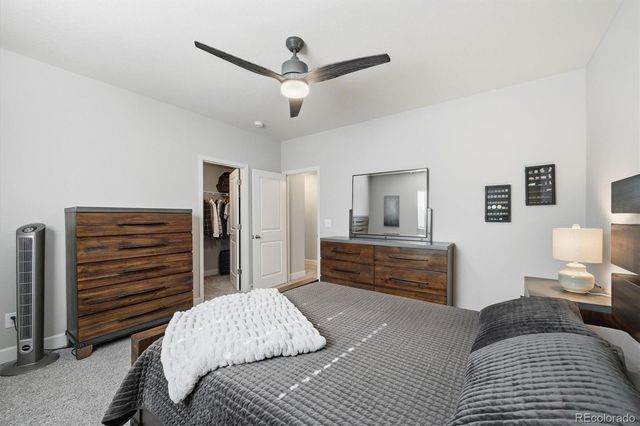 6218 Leilani Drive, Castle Rock, CO 80108