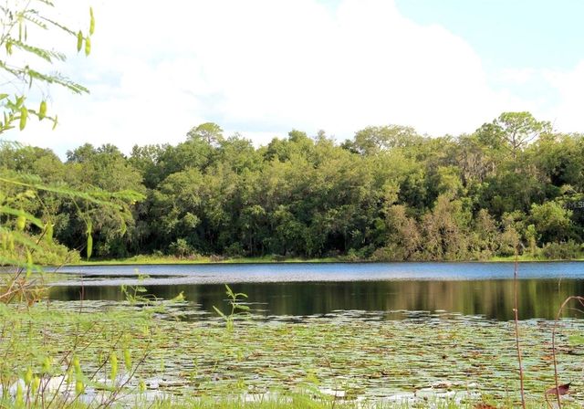 3179 FOXWOOD DR, Apopka, FL 32703