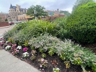 1731 Beacon 1110, Brookline, MA 02445