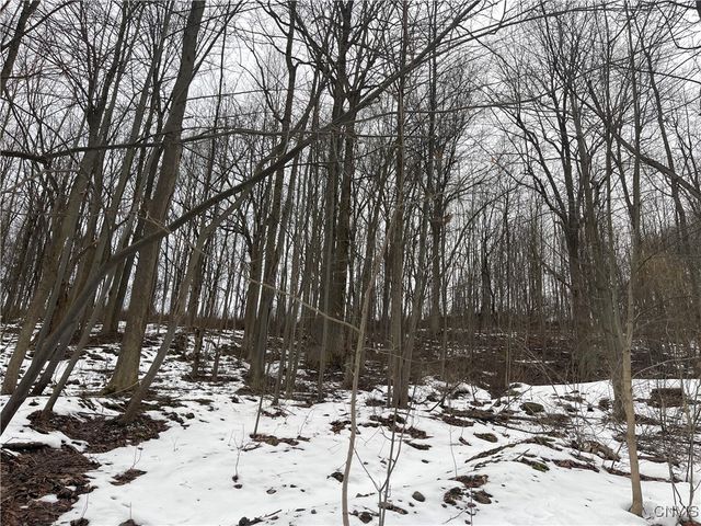 10673 State Route 34, Cato, NY 13166