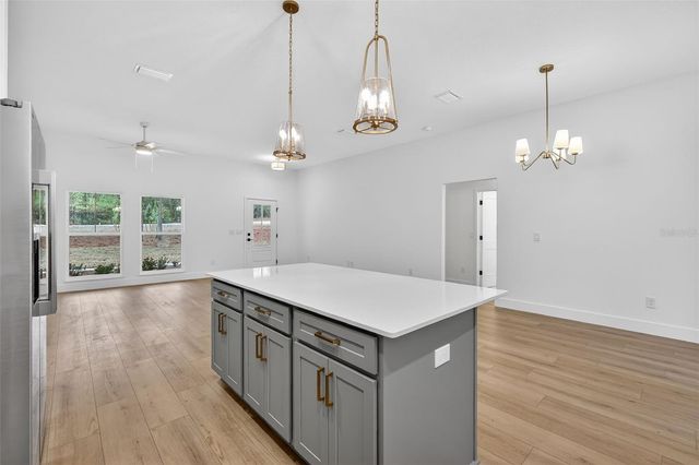 1511 COUNTY ROAD 243A, Wildwood, FL 34785