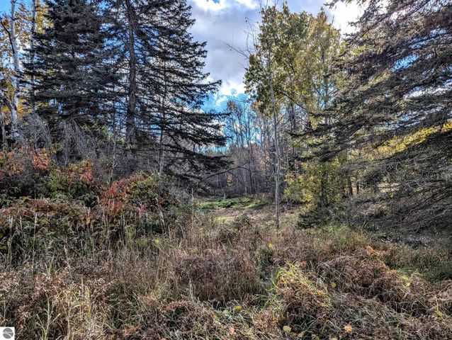 3920 E 14 Road, Manton, MI 49663