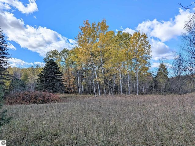 3920 E 14 Road, Manton, MI 49663