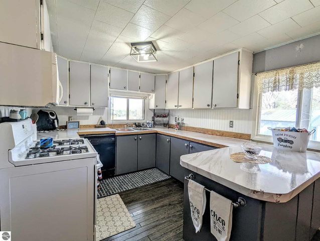 3920 E 14 Road, Manton, MI 49663