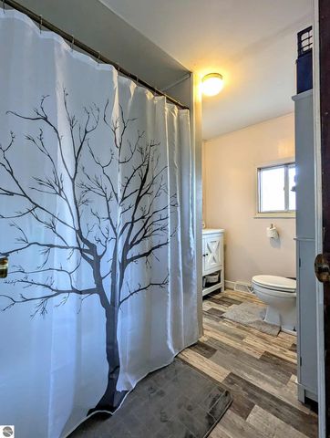 3920 E 14 Road, Manton, MI 49663