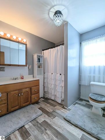 3920 E 14 Road, Manton, MI 49663