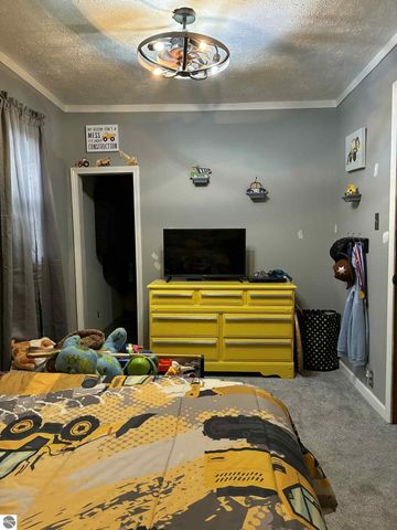 3920 E 14 Road, Manton, MI 49663