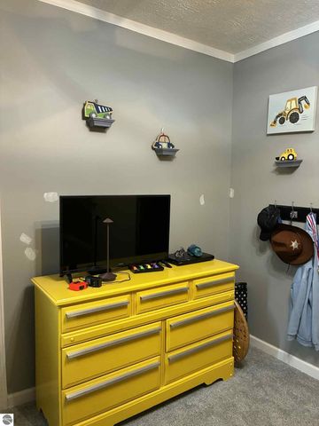 3920 E 14 Road, Manton, MI 49663