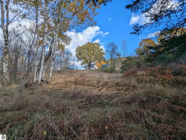 3920 E 14 Road, Manton, MI 49663