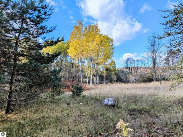 3920 E 14 Road, Manton, MI 49663