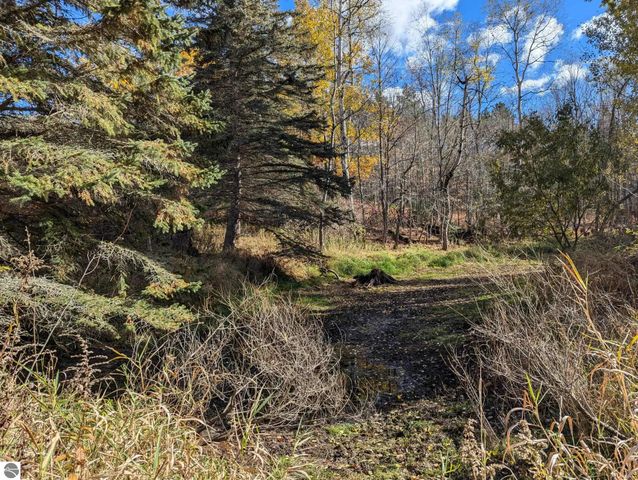 3920 E 14 Road, Manton, MI 49663