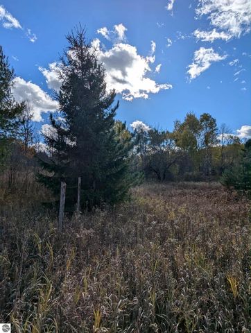 3920 E 14 Road, Manton, MI 49663