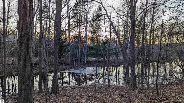 3920 E 14 Road, Manton, MI 49663