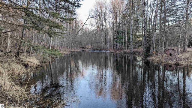 3920 E 14 Road, Manton, MI 49663