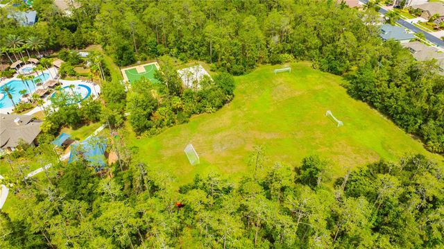 3707 FAWNMIST DRIVE, Wesley Chapel, FL 33544