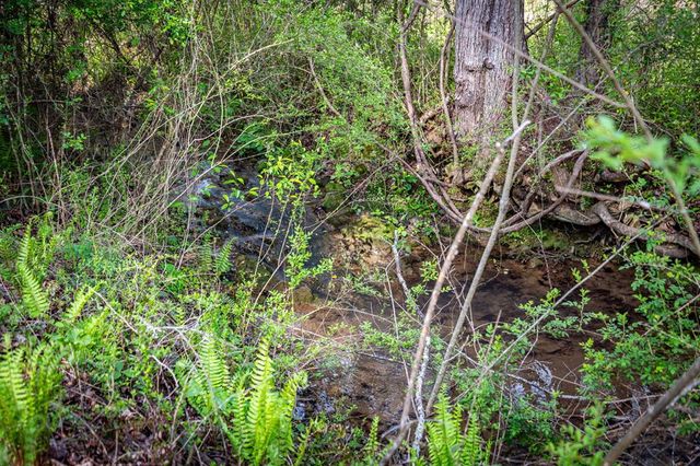 108 Forge Mill Estates Drive, Morganton, GA 30560