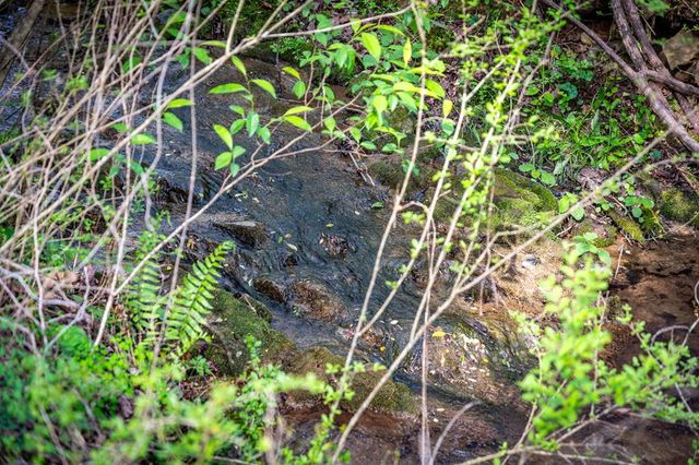 108 Forge Mill Estates Drive, Morganton, GA 30560
