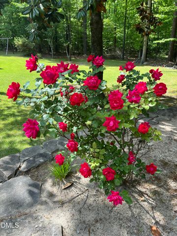 7508 Hazelhurst Circle, Apex, NC 27502