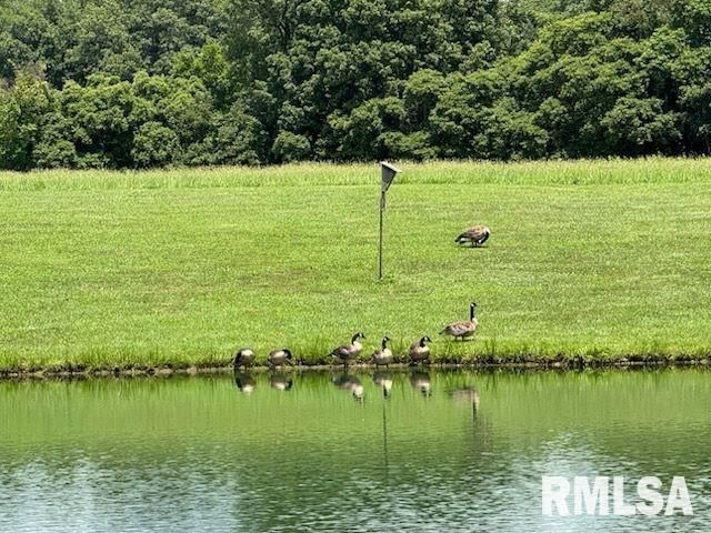 14290 E WINDSONG Road, Mt Vernon, IL 62864