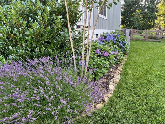 2819 Signal Farms Lane, Signal Mountain, TN 37377