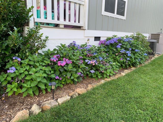 2819 Signal Farms Lane, Signal Mountain, TN 37377