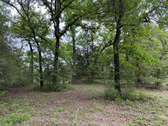 17952 County Road 224, Oakwood, TX 75855