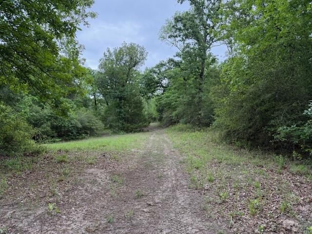 17952 County Road 224, Oakwood, TX 75855