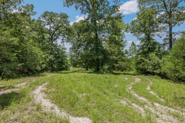 17952 County Road 224, Oakwood, TX 75855
