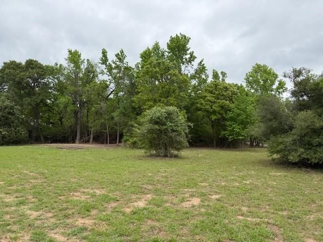 17952 County Road 224, Oakwood, TX 75855