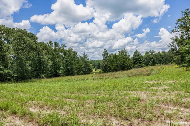 17952 County Road 224, Oakwood, TX 75855