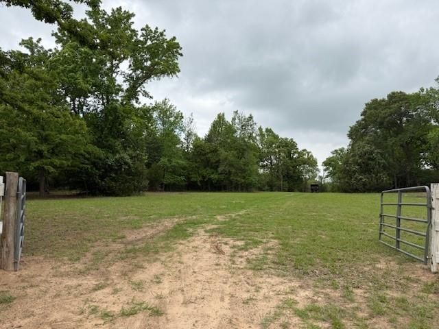 17952 County Road 224, Oakwood, TX 75855