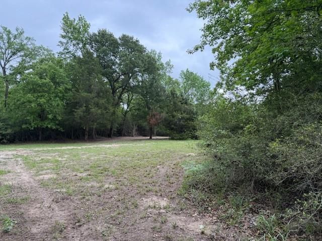 17952 County Road 224, Oakwood, TX 75855