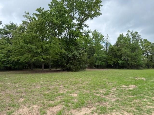 17952 County Road 224, Oakwood, TX 75855