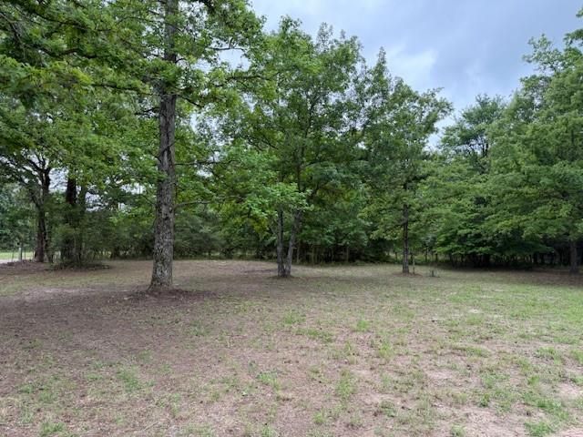 17952 County Road 224, Oakwood, TX 75855