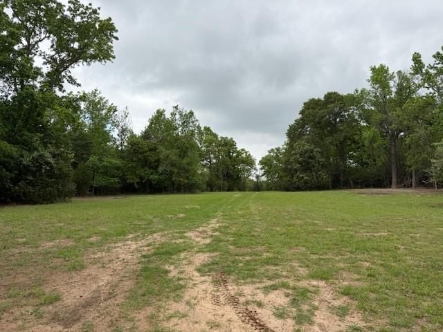17952 County Road 224, Oakwood, TX 75855