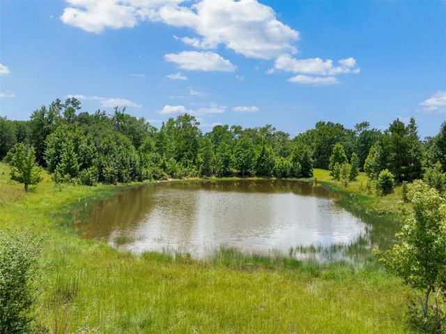 17952 County Road 224, Oakwood, TX 75855