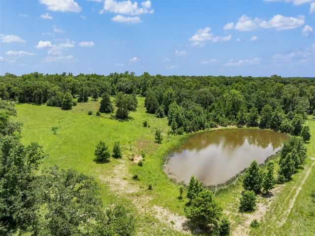 17952 County Road 224, Oakwood, TX 75855